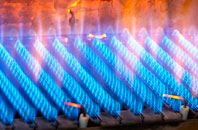 Bowlee gas fired boilers